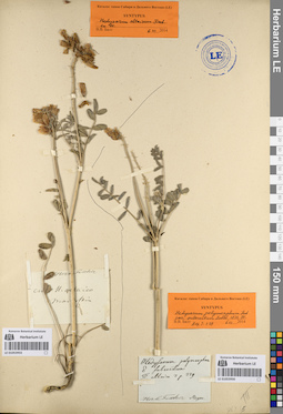 LE 01053956