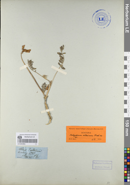 LE 01053961
