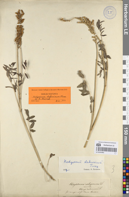 LE 01053981