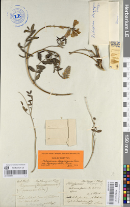 LE 01053989
