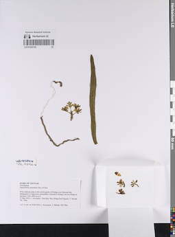 LE 01232132