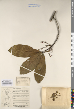 LE 01232164