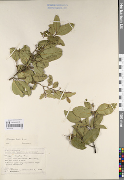 LE 01232197