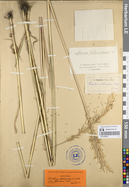 LE 01239436