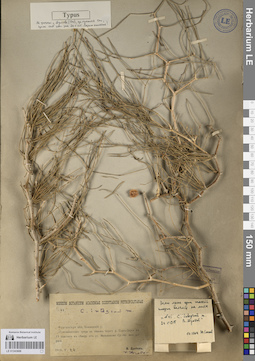LE 01243606