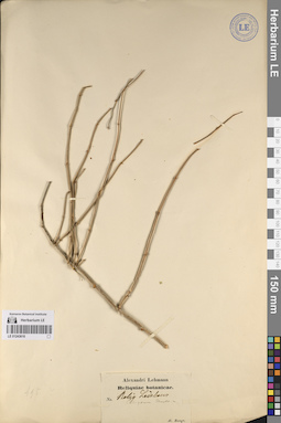 LE 01243616