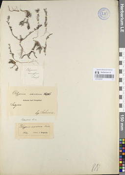 LE 01243707