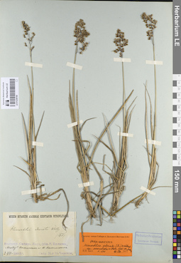 LE 01239700