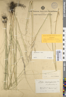 LE 01239721