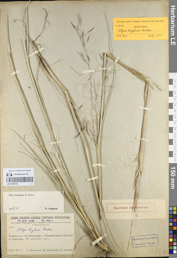 LE 01239730