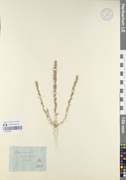 LE 01243780