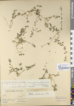 LE 01243802