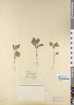 LE 01243803