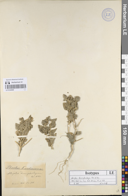 LE 01243840