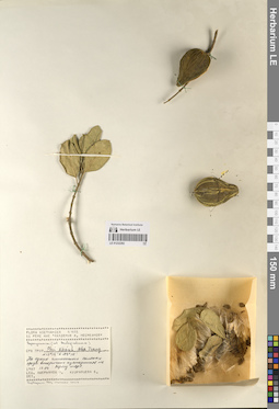 LE 01232292