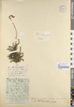 LE 01243903
