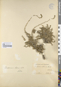 LE 01243905