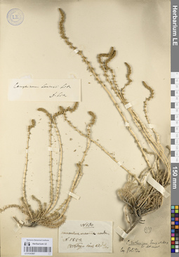 LE 01243907