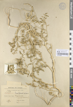 LE 01243994