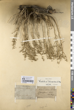 LE 01195448