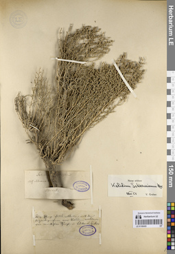 LE 01195455