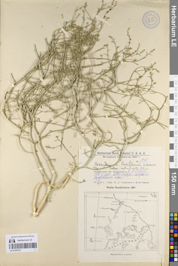 LE 01247014