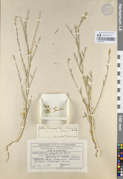 LE 01247077
