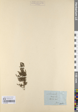LE 01247092