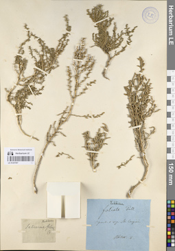 LE 01247097
