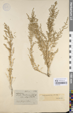 LE 01247169