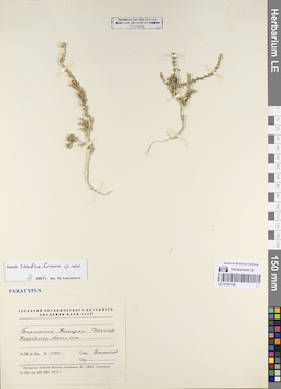 LE 01247189