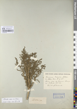 LE 01247193