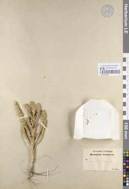 LE 01247202