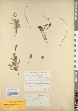 LE 01057303