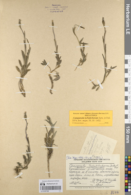 LE 01057306
