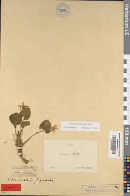 LE 01015958