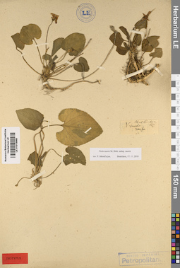 LE 01015960