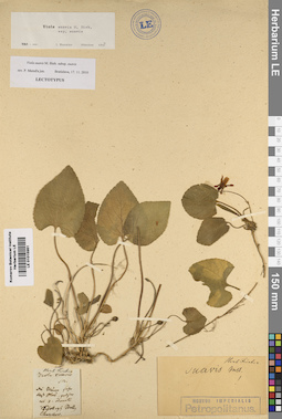 LE 01015961