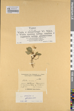 LE 01246189