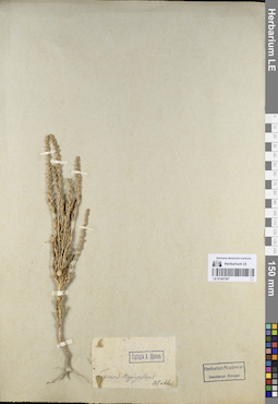 LE 01247207