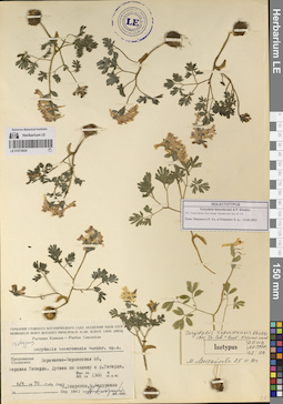 LE 01072824