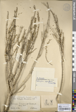 LE 01247268
