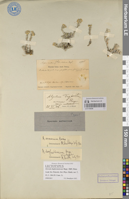 LE 01188386