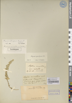LE 01188432