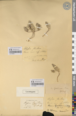 LE 01188445