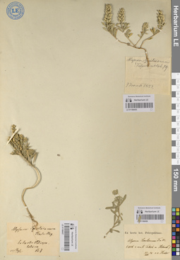 LE 01188455