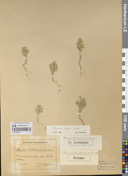 LE 01220279