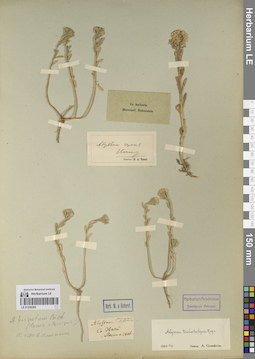 LE 01220282