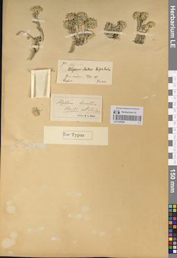 LE 01220286