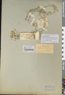 LE 01220584